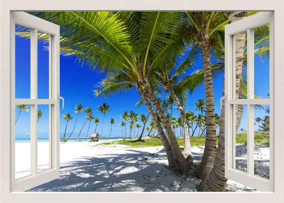 🏖️ 트로피컬 비치 이미지 8